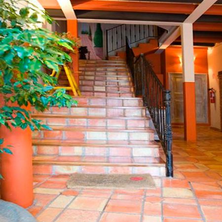 Apartamentos Senorio De Haro 3000 Экстерьер фото