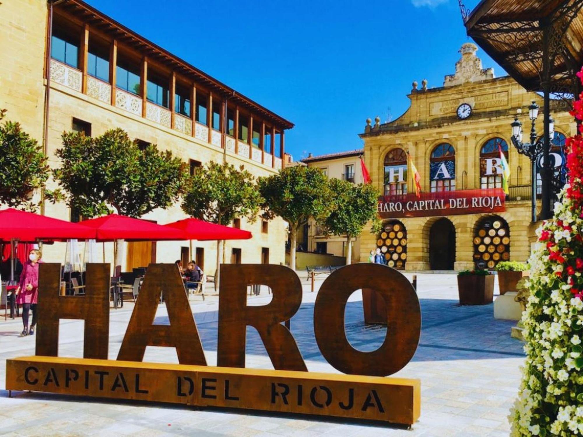 Apartamentos Senorio De Haro 3000 Экстерьер фото